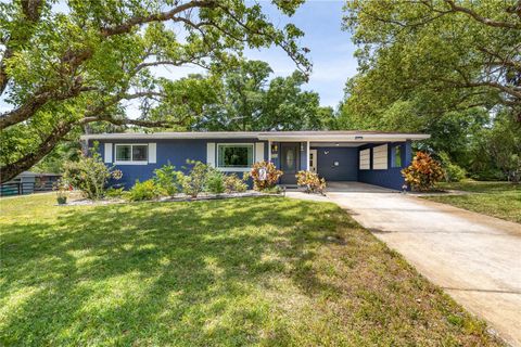 220 BUENA VISTA STREET DEBARY FL 32713