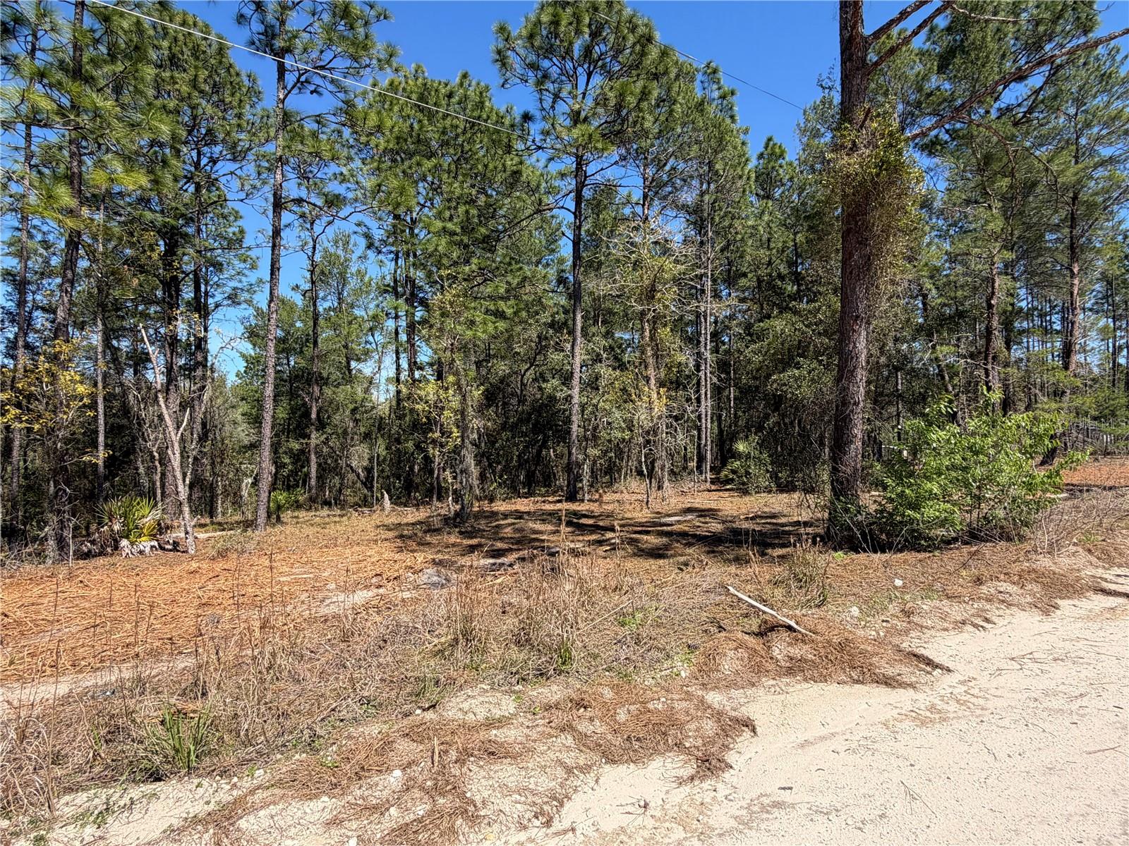 WHISPERING PINE UNIT 2 - Land
