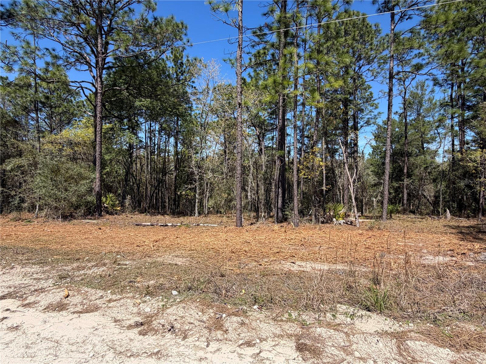WHISPERING PINE UNIT 2 - Land