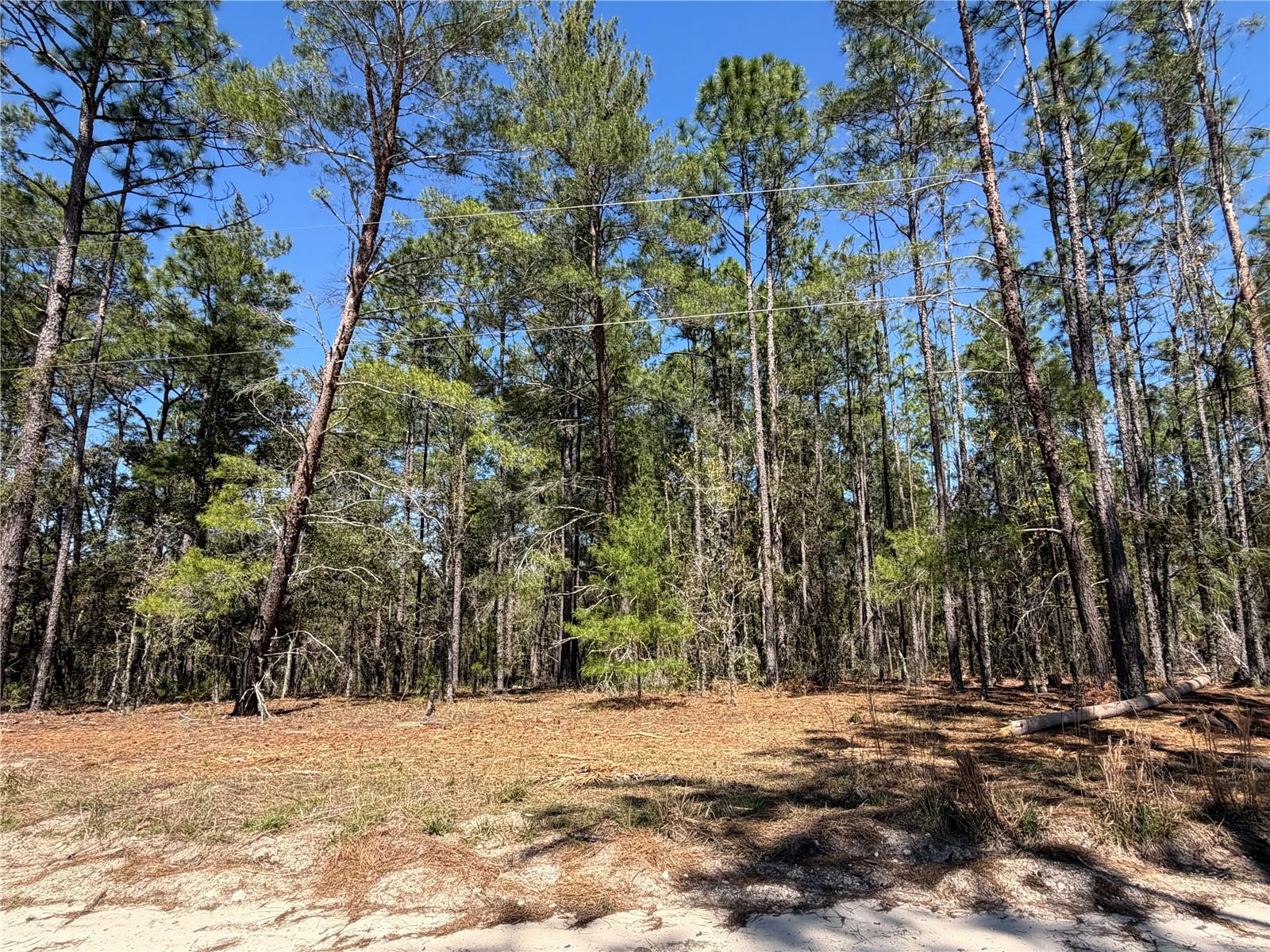 WHISPERING PINE UNIT 2 - Land