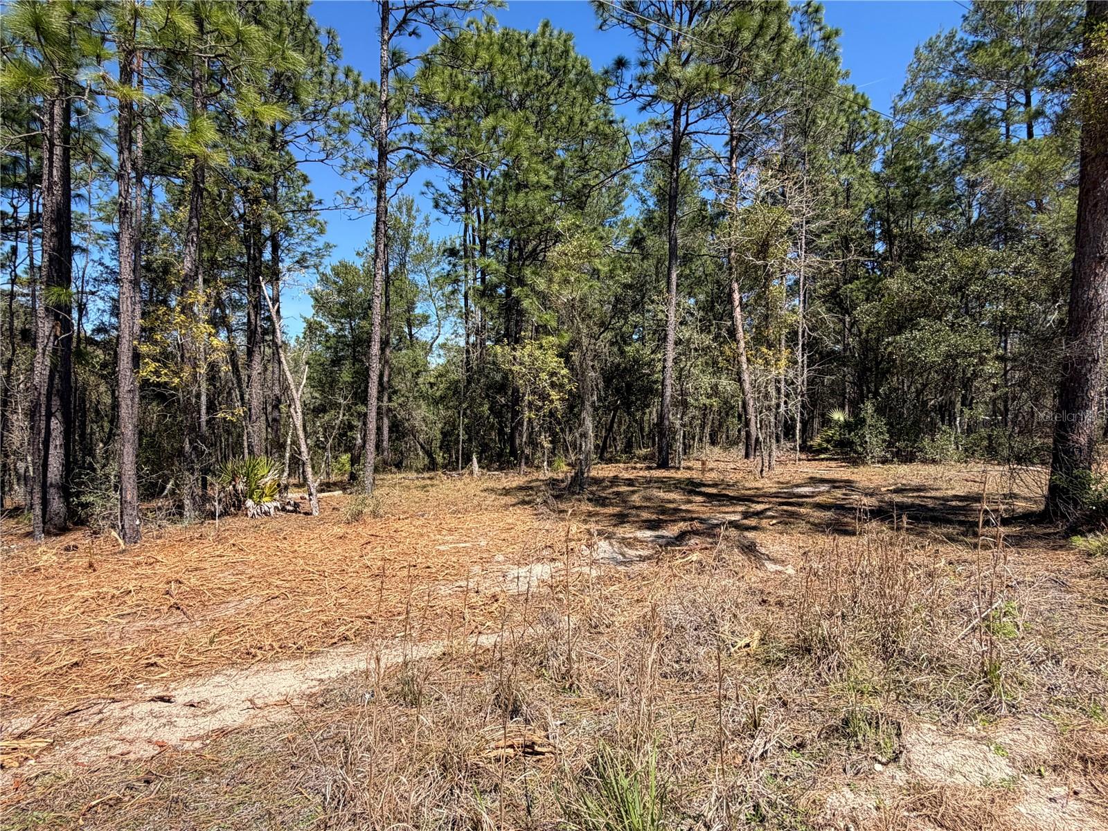 WHISPERING PINE UNIT 2 - Land