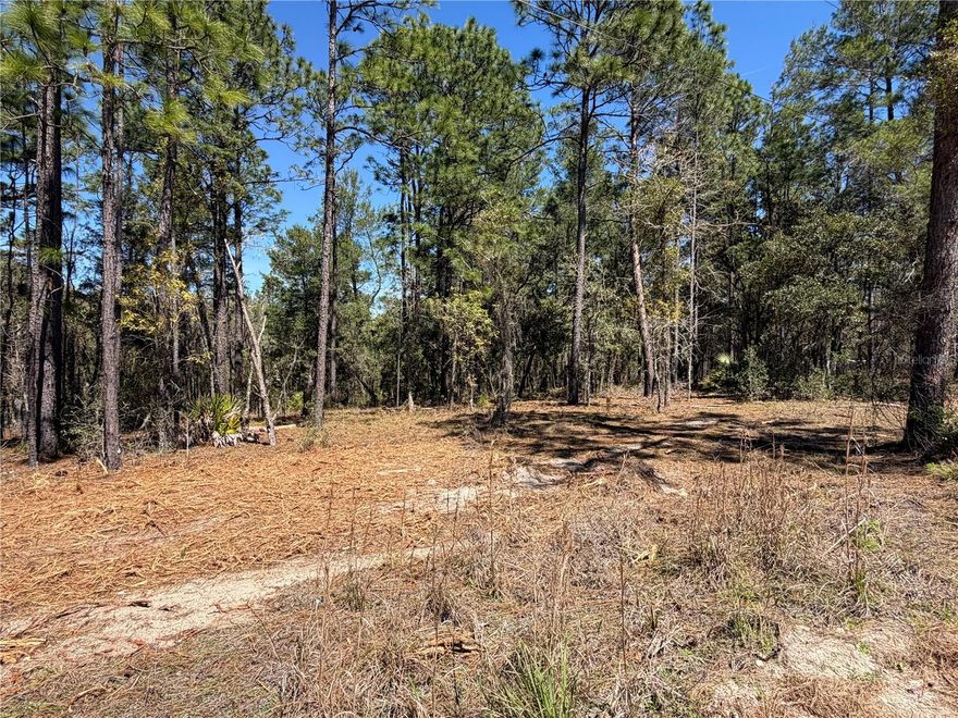 Vacant Land in Levy County. 2.58 acres of undeveloped wooded land in North West Florida. Build your dream home on this beautiful piece of land. Get away from the hussel and bussel of city life. Call today for directions.