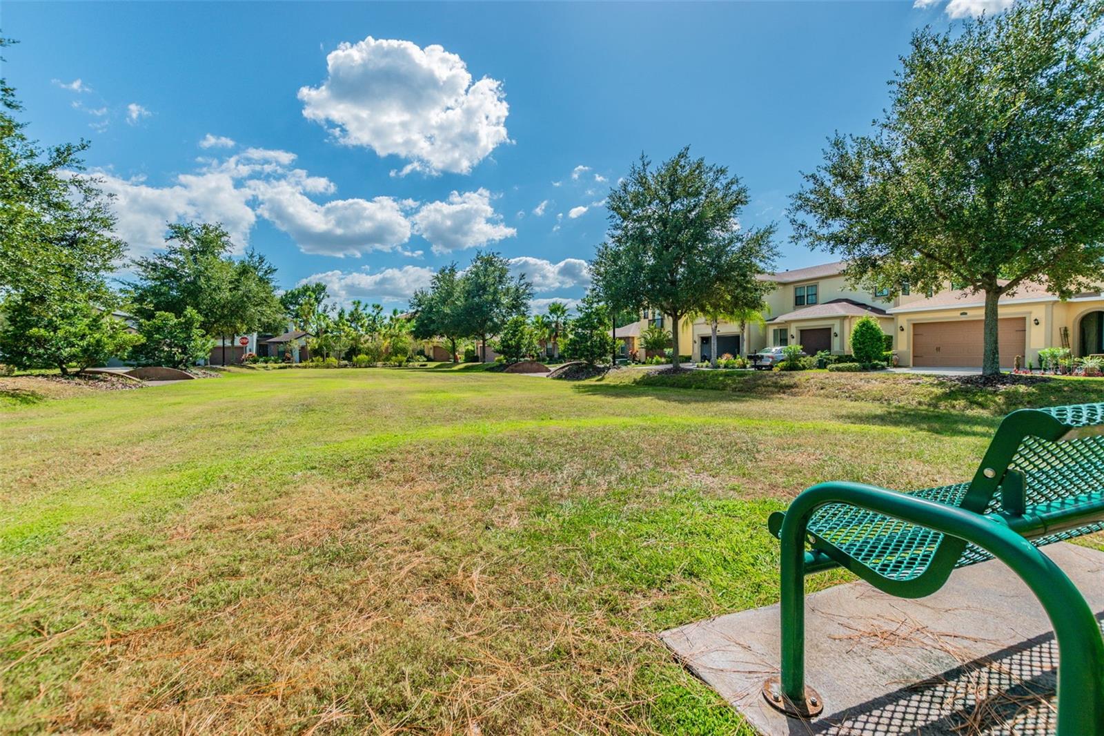 RETREAT AT CARROLLWOOD - Residential