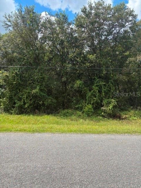Photo of 5177 Culbreath Road, Brooksville, FL 34601 (MLS # W7890117)