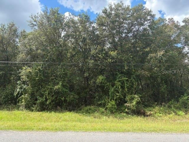Photo of 5177 Culbreath Road, Brooksville, FL 34601 (MLS # W7890117)