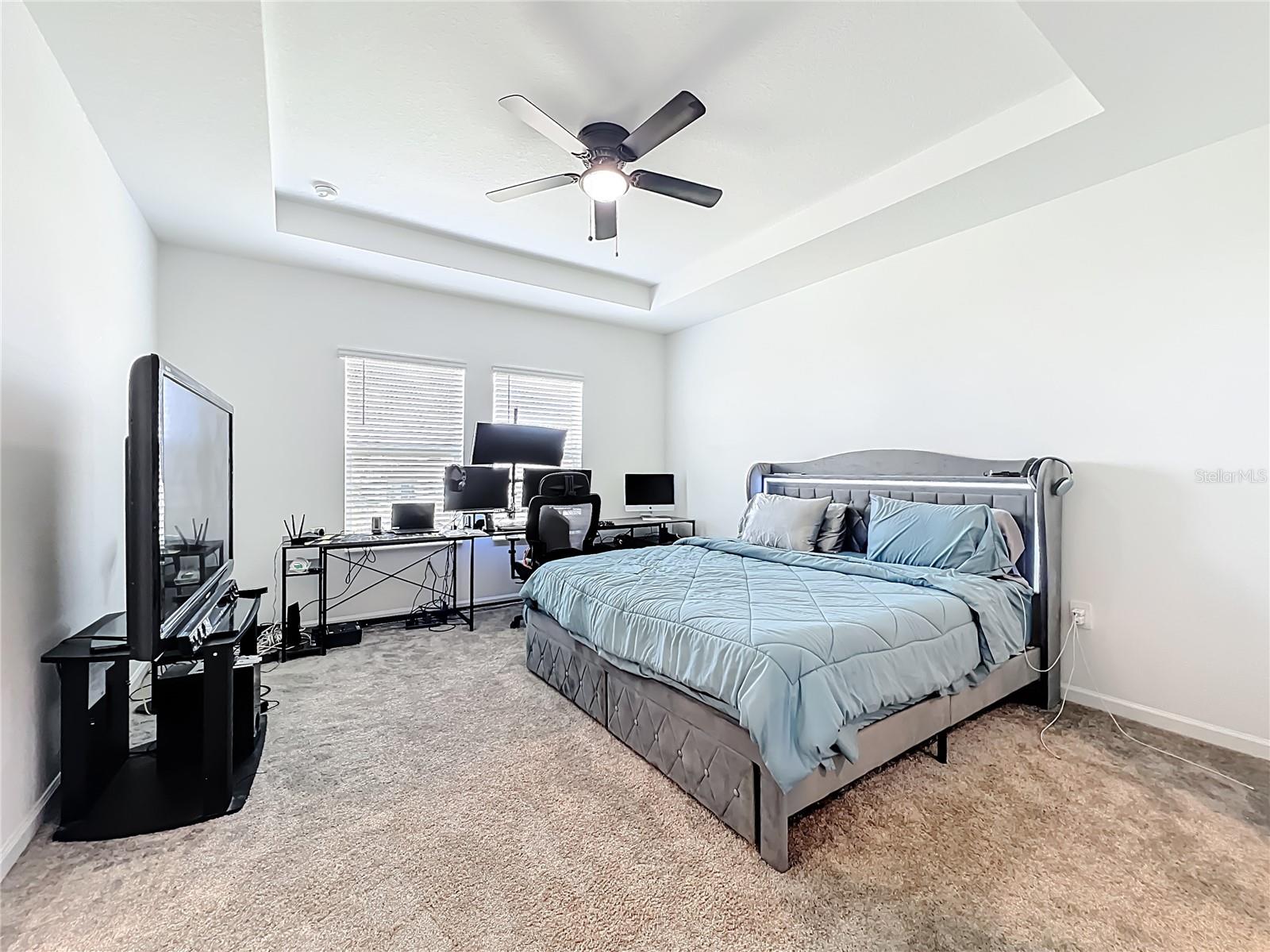 CHATEAU/ASTONIA - Residential