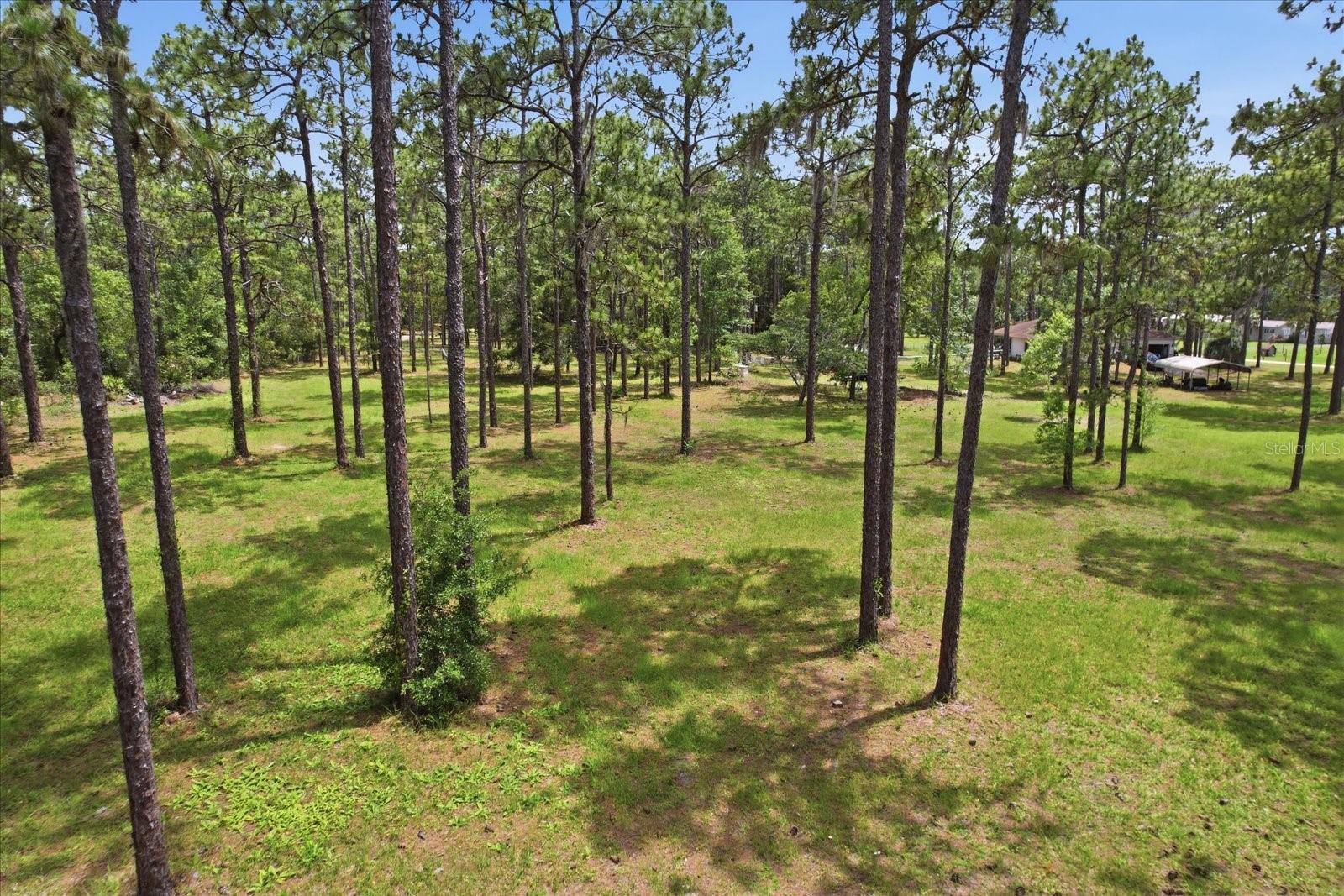 BERKSHIRE ACRES UNREC SUB - Residential