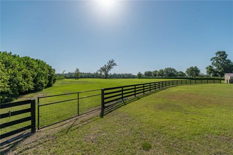 Tiny photo for 5363 NW 153rd Court, Morriston, FL 32668 (MLS # OM698809)