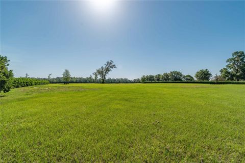 Tiny photo for 5363 NW 153rd Court, Morriston, FL 32668 (MLS # OM698809)