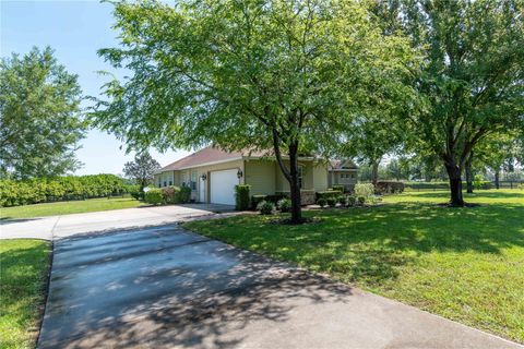 Tiny photo for 5363 NW 153rd Court, Morriston, FL 32668 (MLS # OM698809)