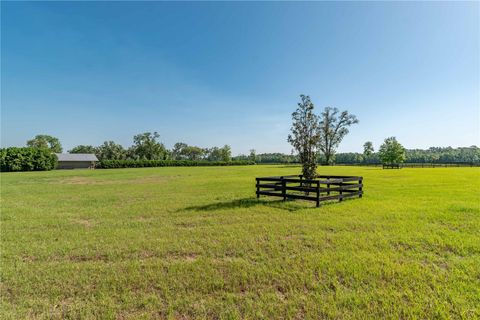 Tiny photo for 5363 NW 153rd Court, Morriston, FL 32668 (MLS # OM698809)