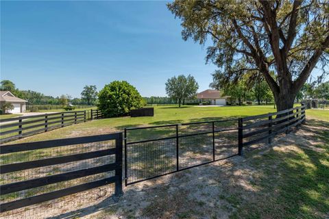 Tiny photo for 5363 NW 153rd Court, Morriston, FL 32668 (MLS # OM698809)