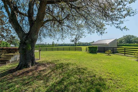 Tiny photo for 5363 NW 153rd Court, Morriston, FL 32668 (MLS # OM698809)