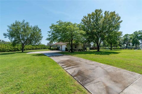 Tiny photo for 5363 NW 153rd Court, Morriston, FL 32668 (MLS # OM698809)