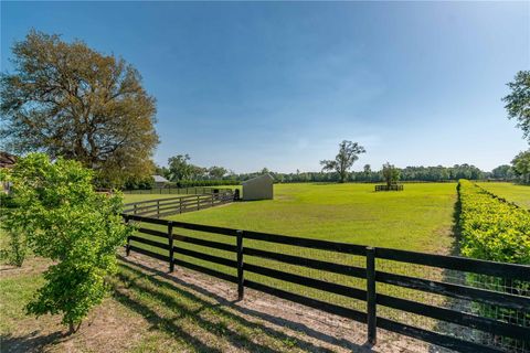 Tiny photo for 5363 NW 153rd Court, Morriston, FL 32668 (MLS # OM698809)