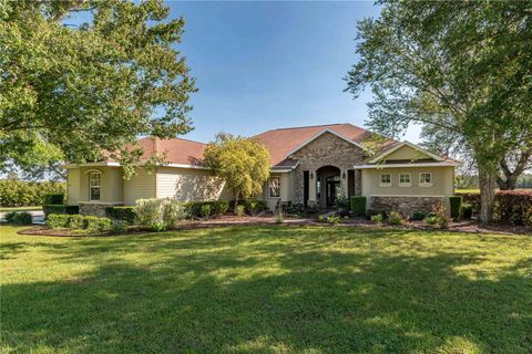 Photo of 5363 NW 153rd Court, Morriston, FL 32668 (MLS # OM698809)