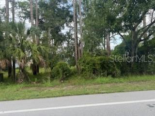 Photo of Polk City Road, Haines City, FL 33844 (MLS # L4963929)
