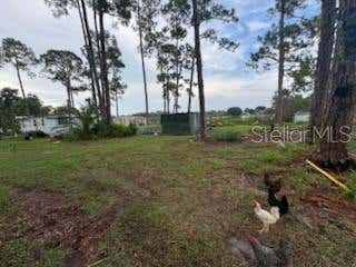 Photo of Polk City Road, Haines City, FL 33844 (MLS # L4963929)