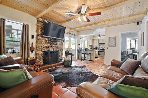 A home in MOUNT DORA