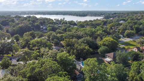A home in MOUNT DORA