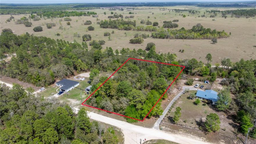 1.4 ACRE LOT WITH PRIVATE BACK SETTING.  NO HOA. THIS IS AN EXCELLENT OPPORTUNITY TO BUILD YOUR DREAM HOME, OR INVESTMENT PROPERTY.  SHORT DRIVE TO THE WORLD EQUISTRIAN CENTER, AND THE BEAUTIFUL RAINBOW SPRINGS.