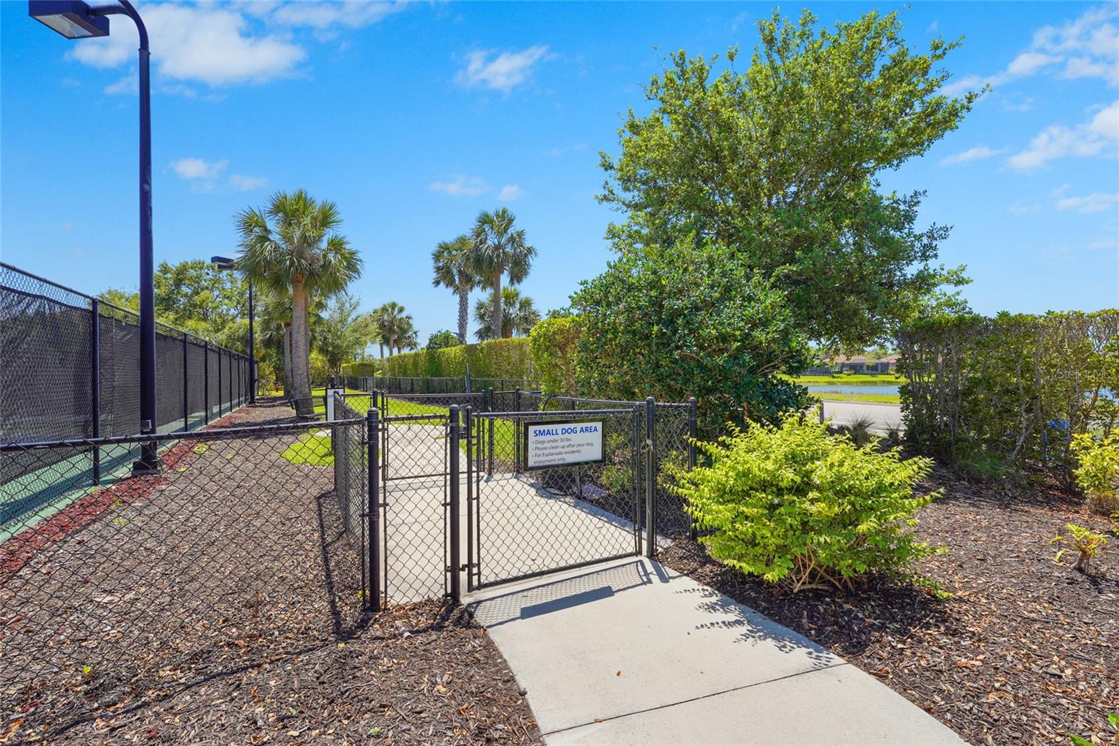 LEGACY ESTATES AT ESPLANADE ON PALMER RANCH - Residential