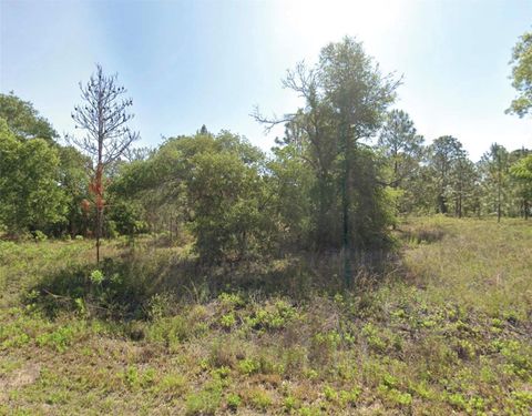 SW FLORAL COURT DUNNELLON FL 34431