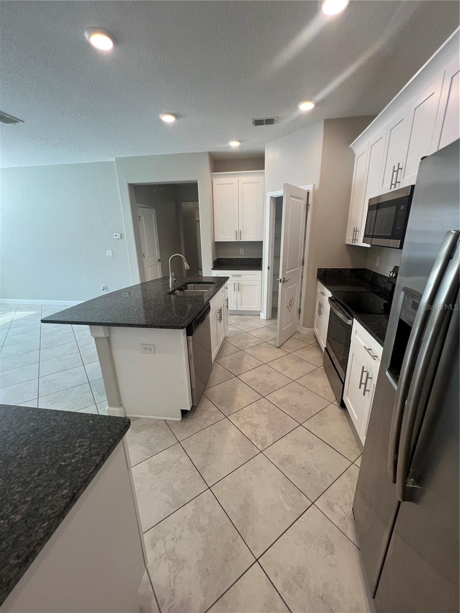 13244 SATIN LILY DRIVE