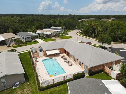 A home in ELLENTON