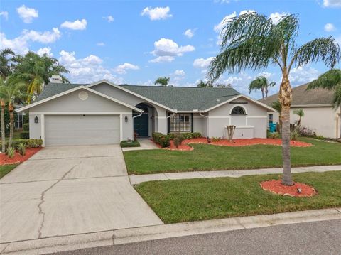 A home in PALM HARBOR