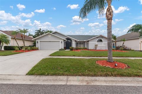 A home in PALM HARBOR