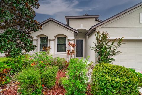 A home in BRANDON