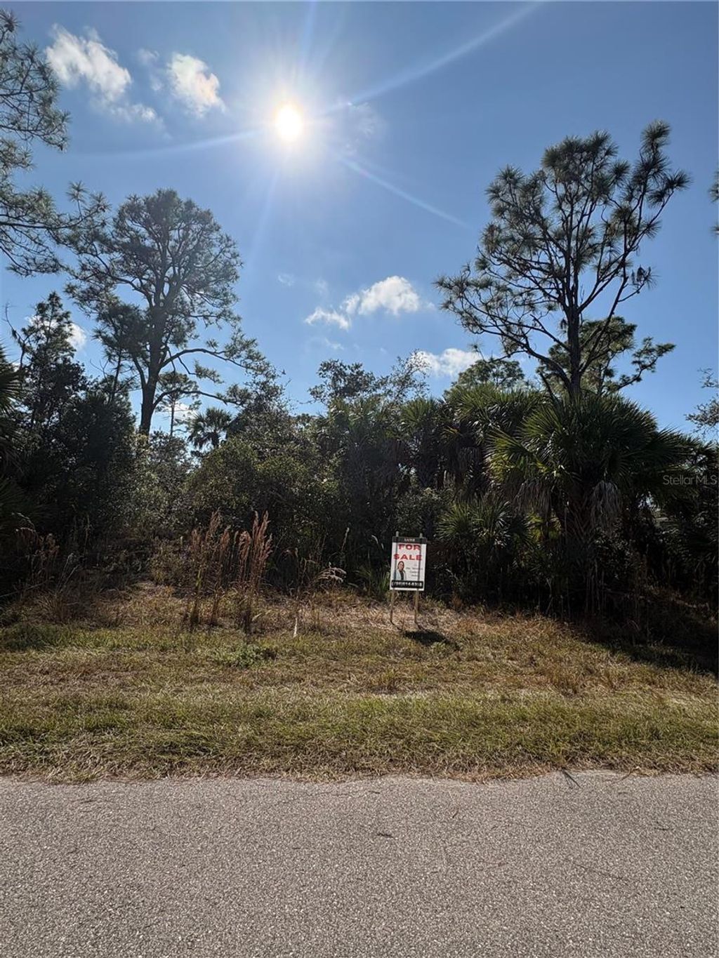 Photo of 12469 Benner Lane, Port Charlotte, FL 33953 (MLS # TB8464583)