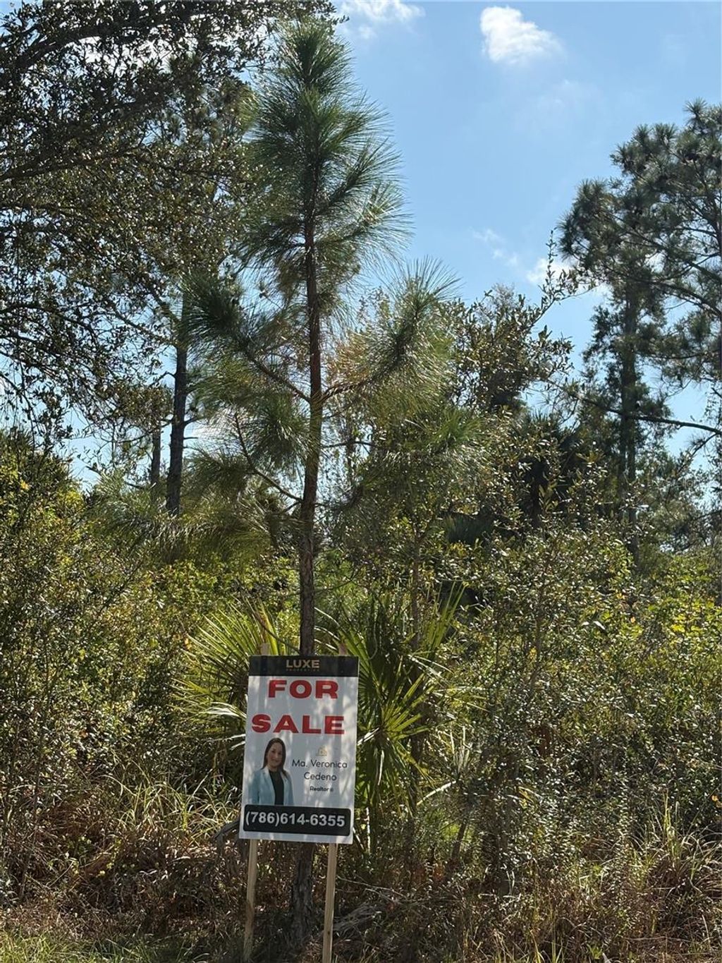 Photo of 12469 Benner Lane, Port Charlotte, FL 33953 (MLS # TB8464583)