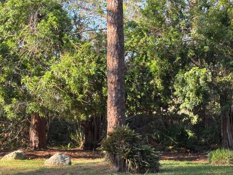 A home in SEMINOLE