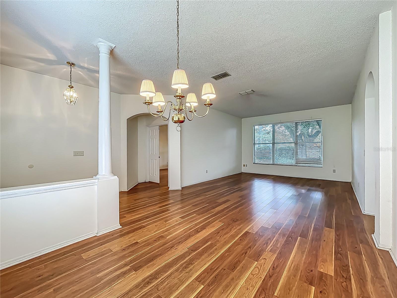 1131 TURTLE LAKE COURT