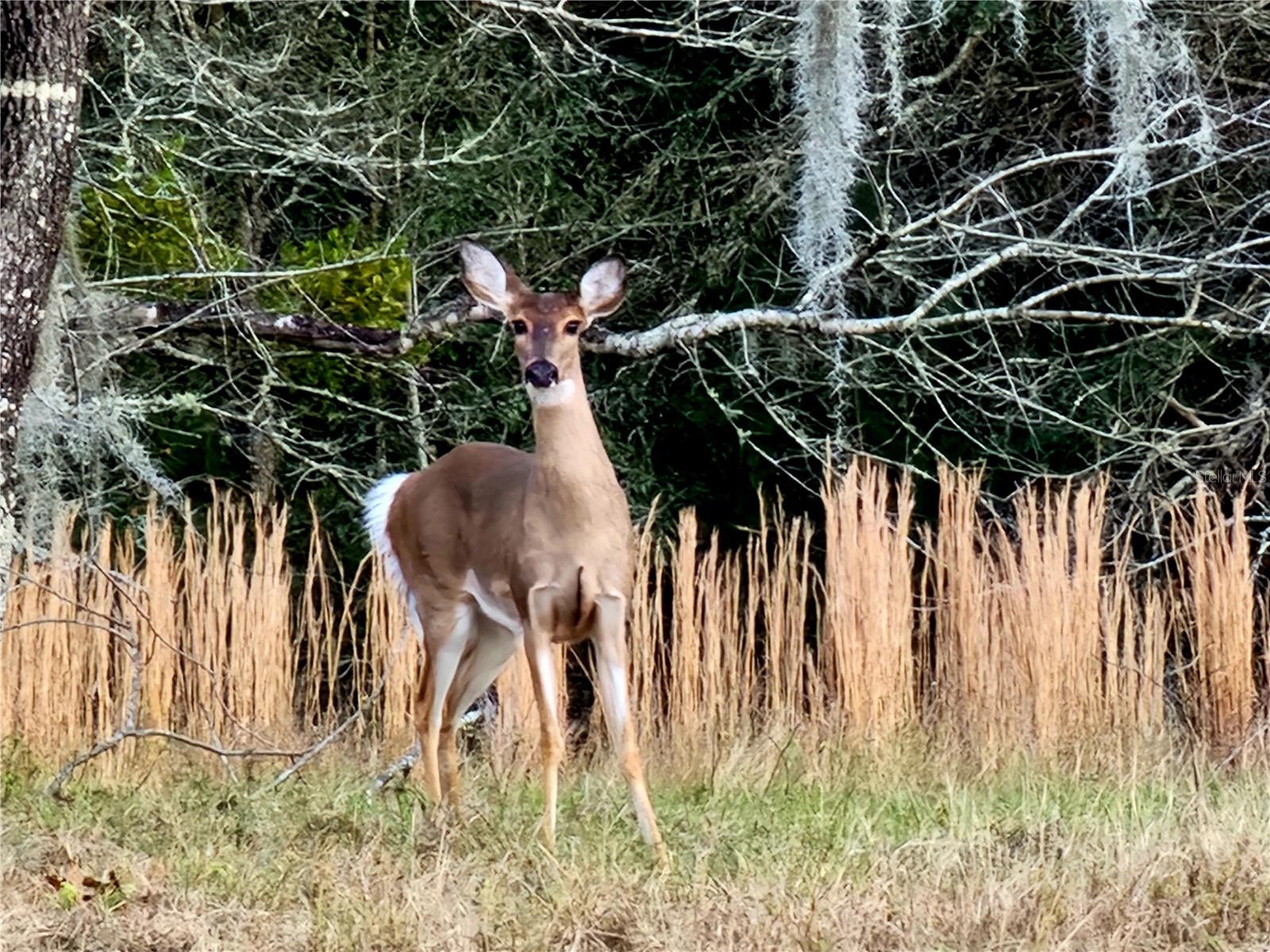 HEATHERWOOD UNIT 01 - Residential