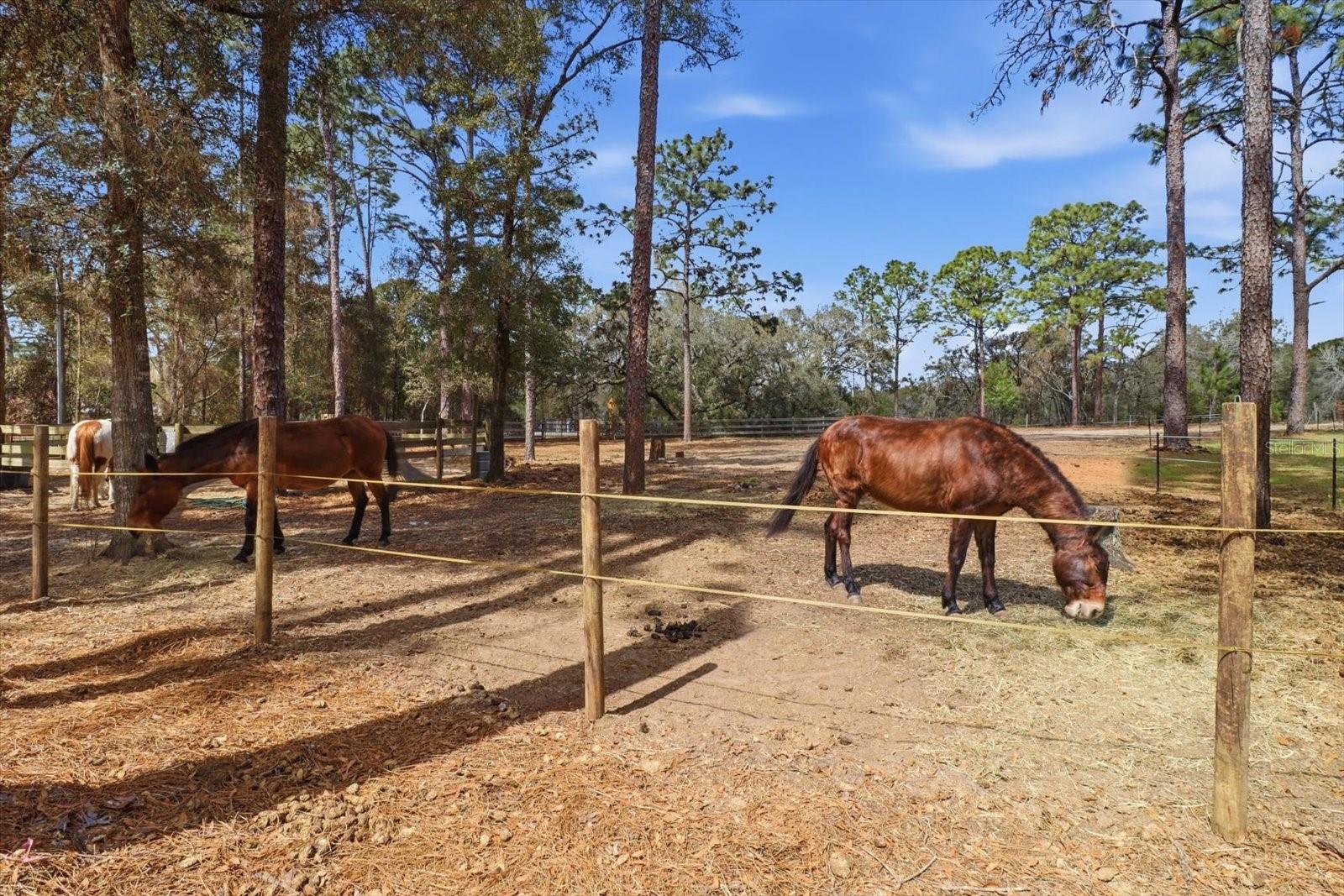 HEATHERWOOD UNIT 01 - Residential