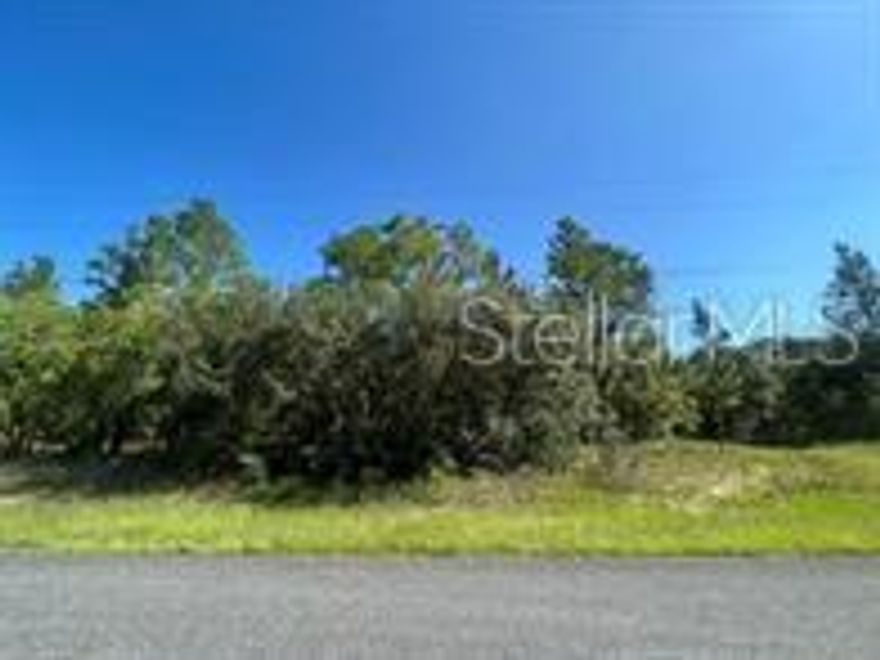 GREAT buildable lot located in the heart of Citrus Springs NOT in a flood zone!! Surrounded by established homes on a quiet street. Land isn’t cleared however it is easy to clear and build. Groceries, gas, hospital, schools and other necessities are about 5 sq miles around. Major roads/highways being US41, US98 and i75. About 30 minutes to the beach/coast. 20 minutes to the springs and natural parks. Hold as a long-term investment or start building today!