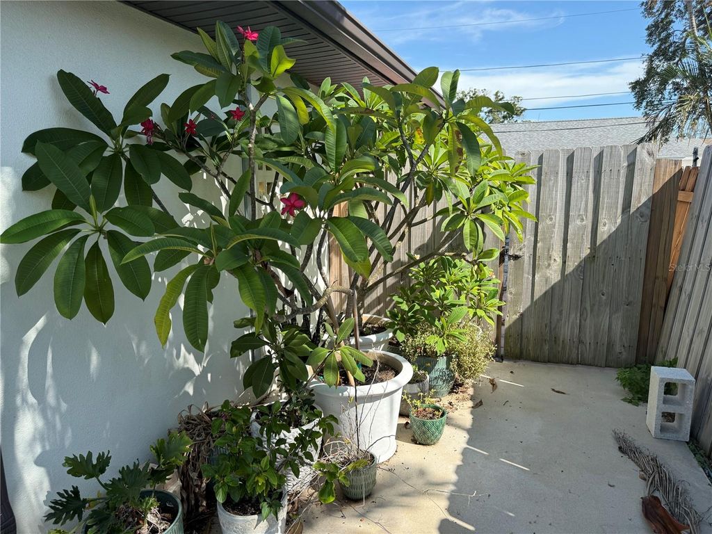 Photo of 1826 Oregon Avenue NE, St Petersburg, FL 33703 (MLS # TB8413987)