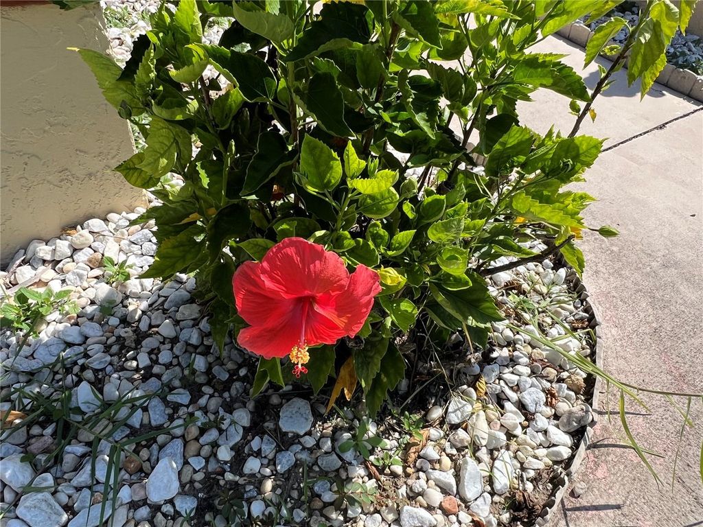 Photo of 19358 Edgewater Drive, Port Charlotte, FL 33948 (MLS # A4681818)