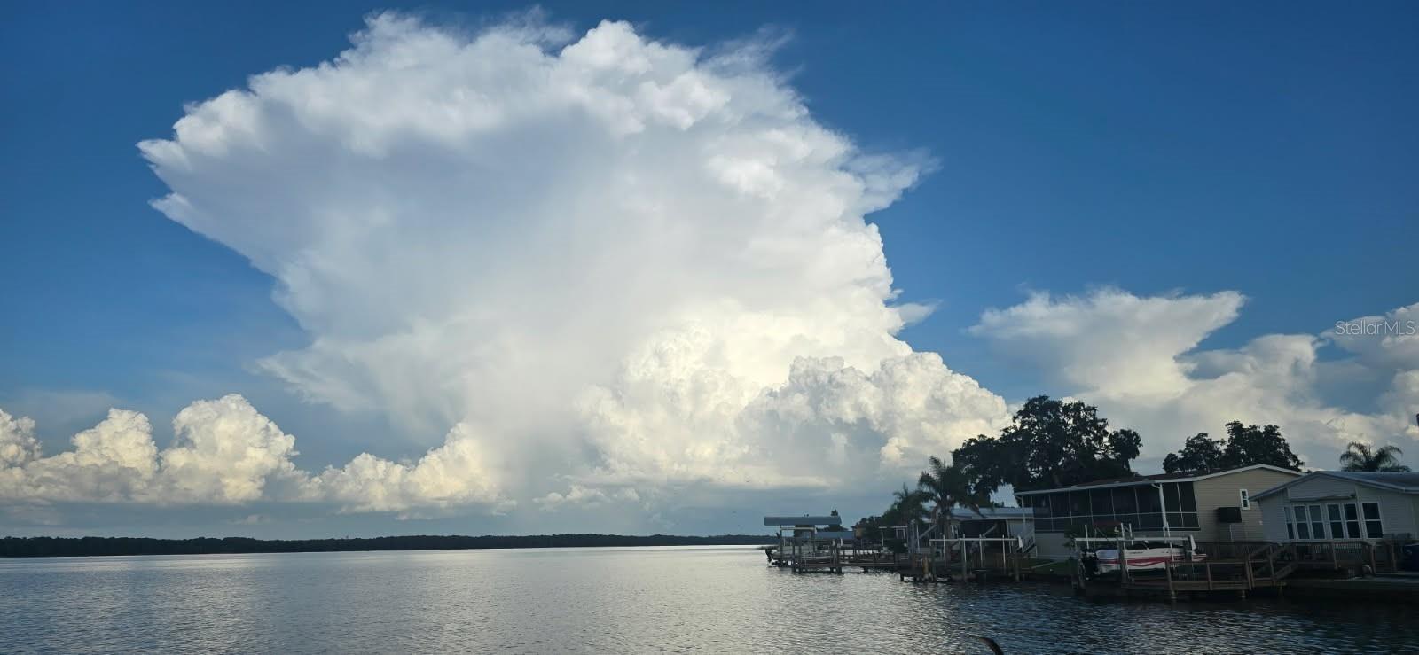 LAKE TARPON MOBILE HOME VILLAGE - Residential