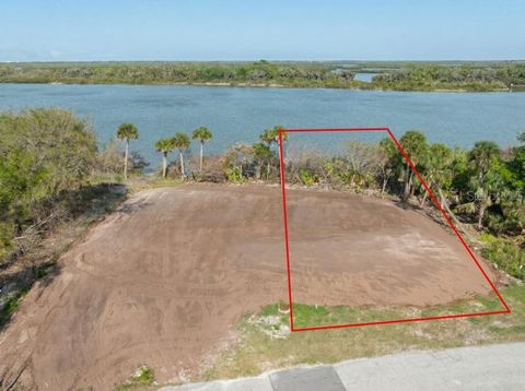 Photo of 185 Jones Fish Camp Road, Edgewater, FL 32141 (MLS # NS1087816)