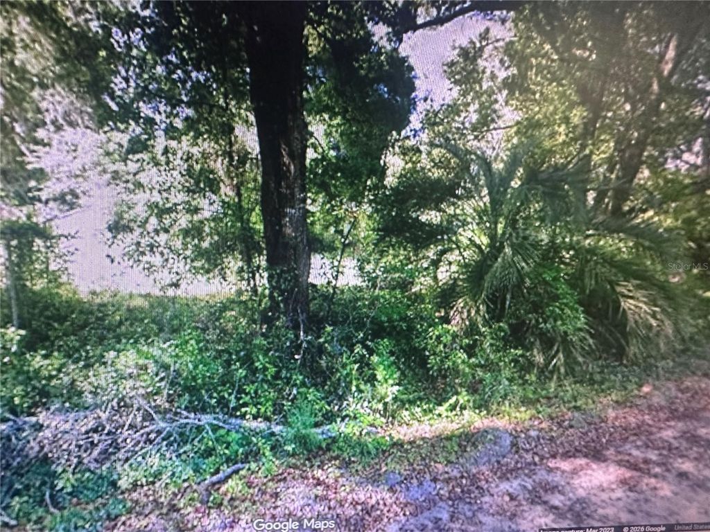 Photo of 4289 SE 20th Street, Trenton, FL 32693 (MLS # TB8485192)