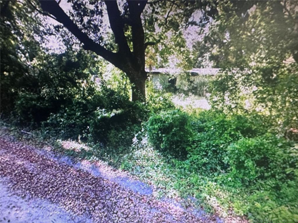 Photo of 4289 SE 20th Street, Trenton, FL 32693 (MLS # TB8485192)