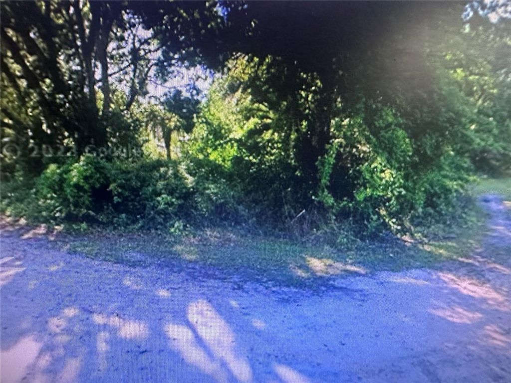 Photo of 4289 SE 20th Street, Trenton, FL 32693 (MLS # TB8485192)