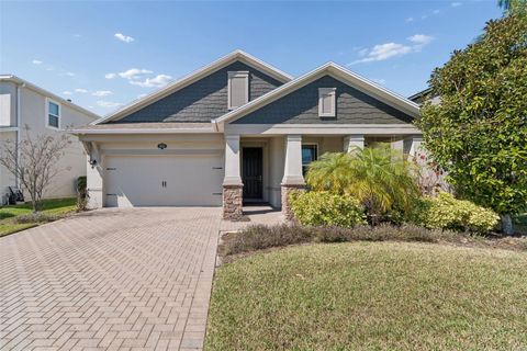 19161 LONG LAKE RANCH BOULEVARD LUTZ FL 33558