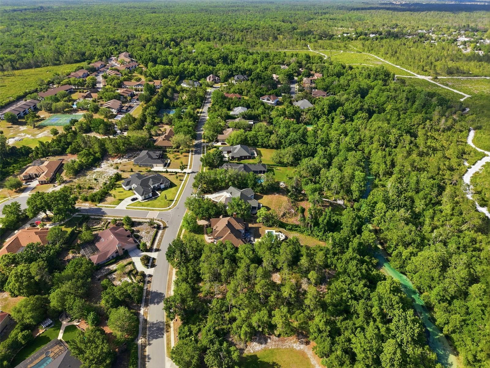 WATERS OF WEEKI WACHEE - Land