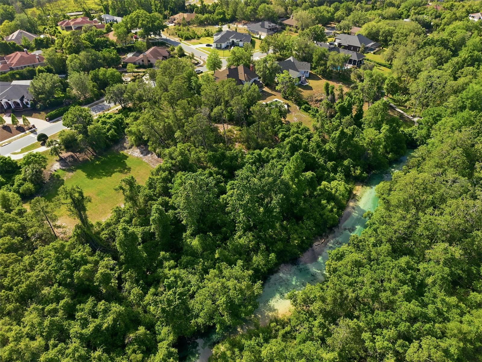WATERS OF WEEKI WACHEE - Land