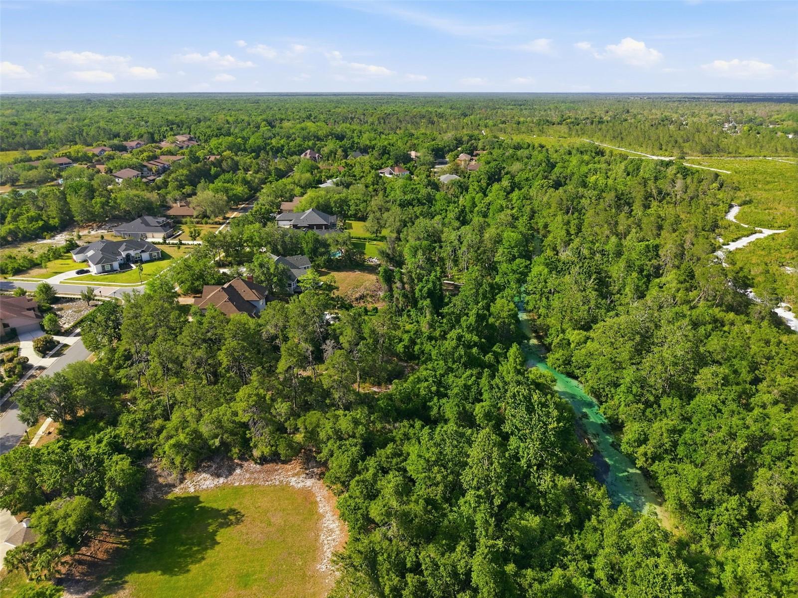 WATERS OF WEEKI WACHEE - Land